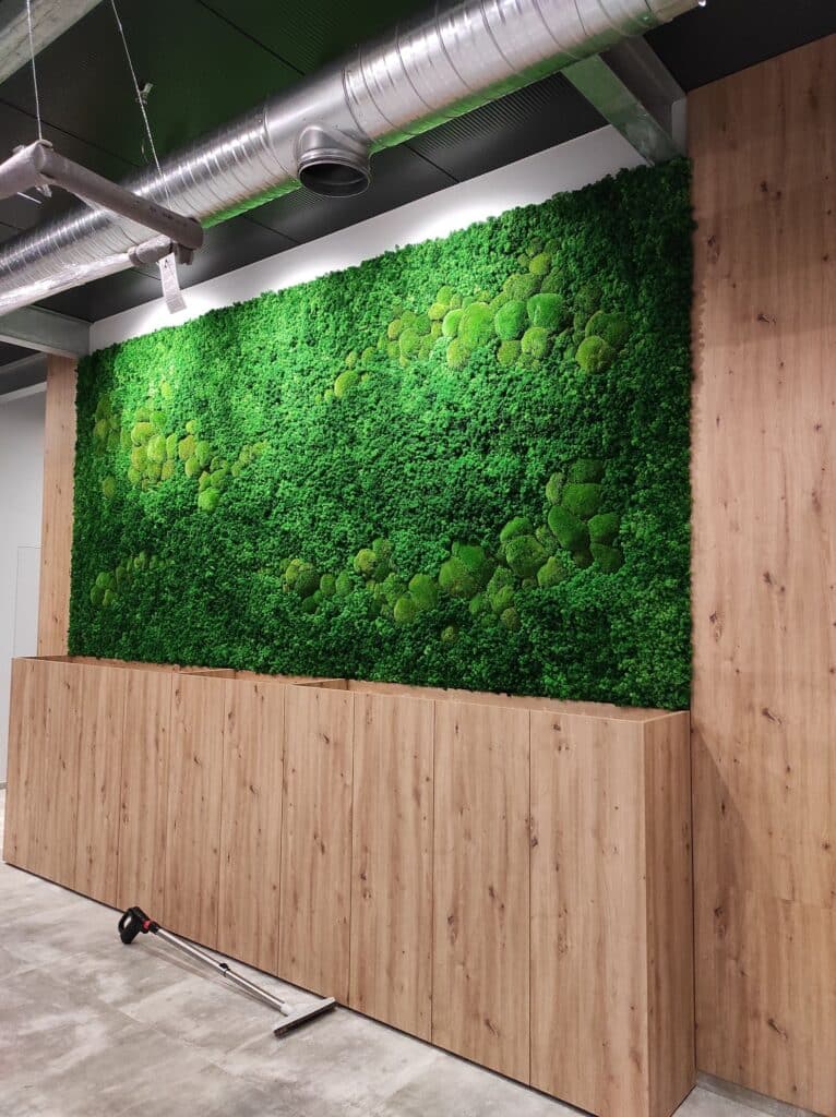 Żywa, zielona ściana z mchu, chrobotka w biurze - Marzenia do Spełnienia
