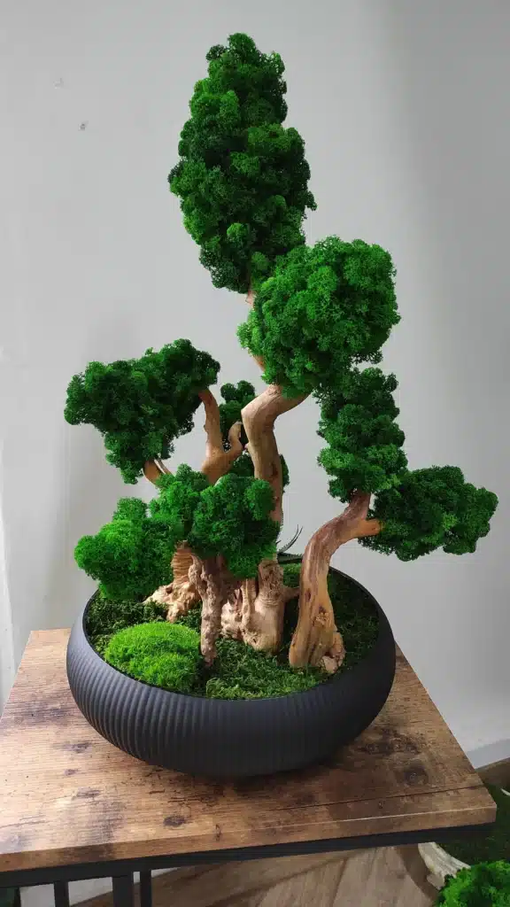Dekoracje z mchu - stabilizowane drzewko bonsai - Dekoracje z chrobotka w domu - Marzenia do Spełnienia