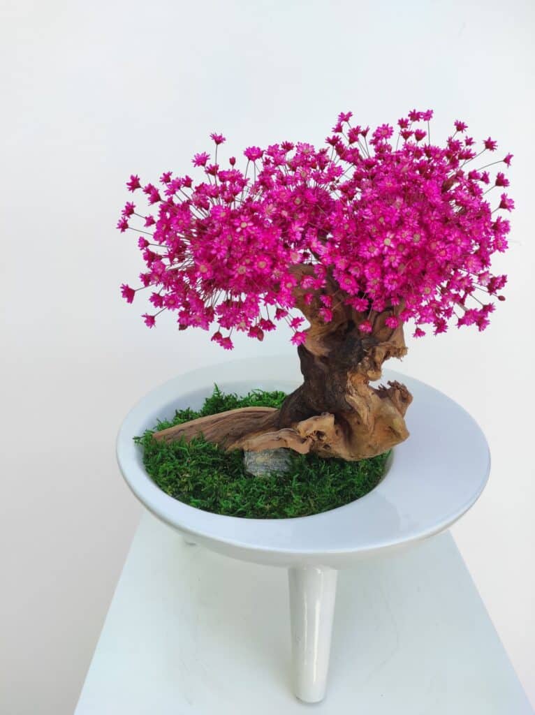 Bonsai rekodzieło drzewko moss decor