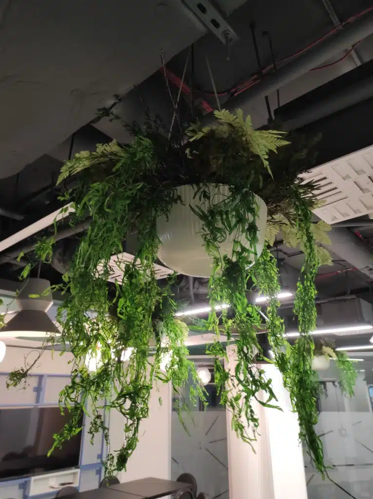 green office dekoracje biura rośliny w biurze wystrój biura moss decor